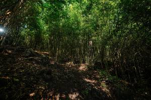 BIB: 
                            <button type="button" onclick="openModal(25092273)" class="btn btn-primary btn-sm float-right btn-popup" data-toggle="modal" data-target=".modal-high-quality">
                        <i class="fas fa-shopping-cart"></i> Add to Cart
                    </button>
                                            <button type="button" onclick="isThisMe(25092273, true)" class="btn btn-success btn-sm float-right btn-popup btn-isme hidden" data-toggle="tooltip" data-placement="bottom" title="นี่คือรูปของคุณใช่ไหม คลิกที่นี่เพื่อเอาเข้าอัลบั้ม">
                        <i class="fas fa-plus"></i> Add to album
                    </button>
                    <button type="button" onclick="isThisMe(25092273, false)" class="btn btn-warning btn-sm float-right btn-popup btn-isnotme hidden">
                        <i class="fas fa-ban"></i> Remove from album
                    </button>